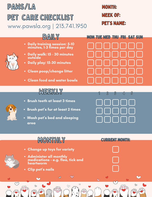 Infographic checklist for essential pet care