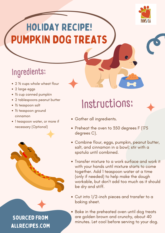 Cartoon info graphic recipe for pumpkin treats for dogs