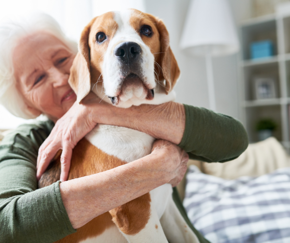 Elderly lady hugging her hound
