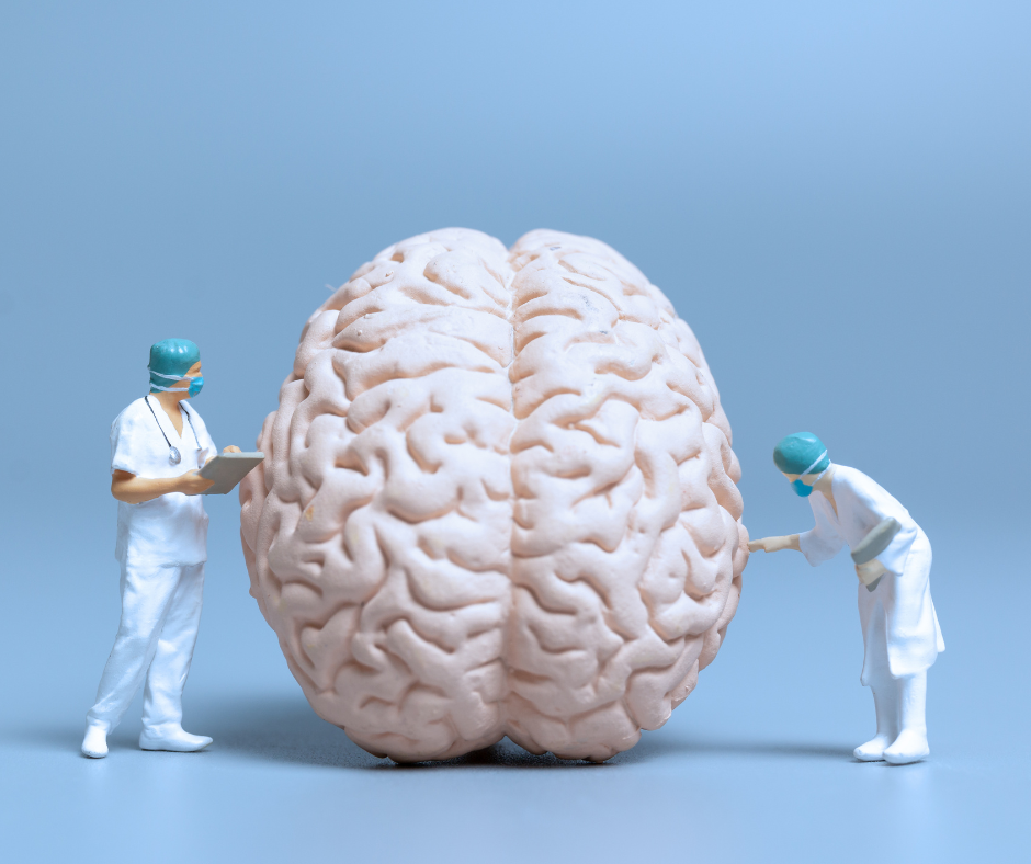 Two doctors examining giant brain
