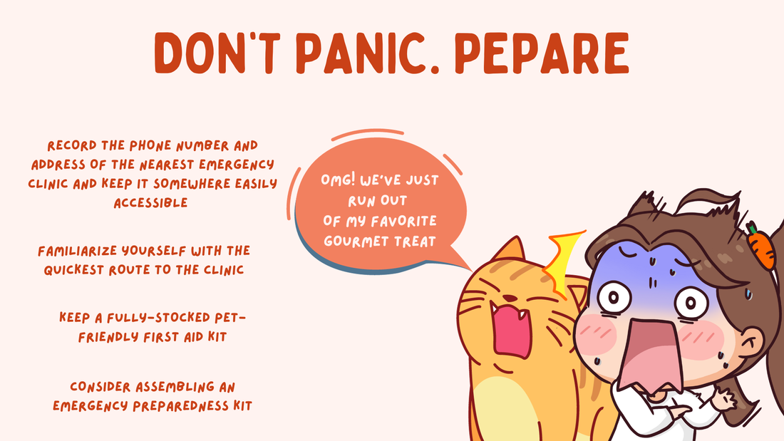 Humorous cartoon of anime-style girl and a cat looking panicked. Text gives tips for emergency prep