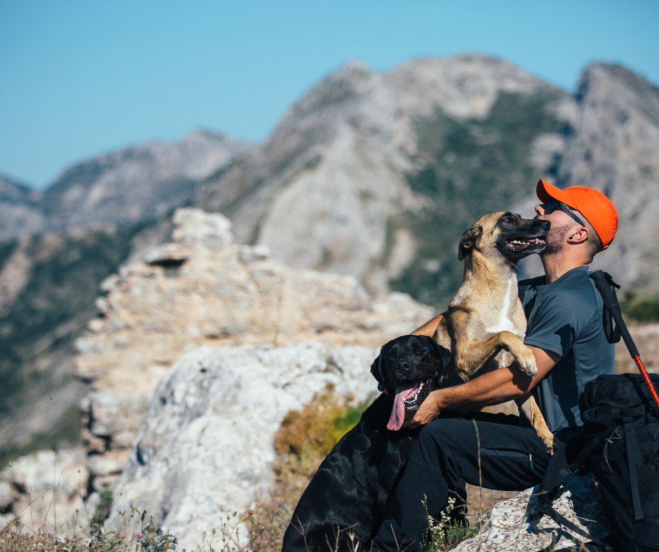 Mountain climber man with two dogs. Outdoors, mountains in background