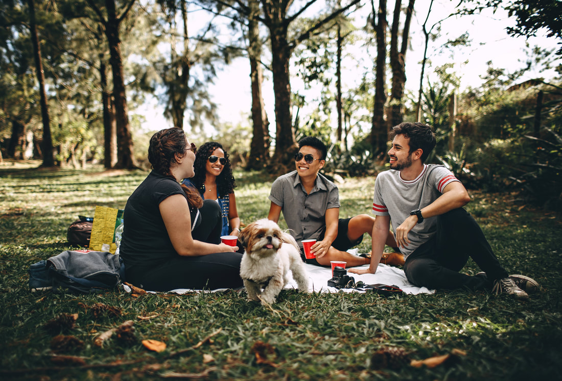 Picture of two women and two men having a picnic in a forested area with a white dog