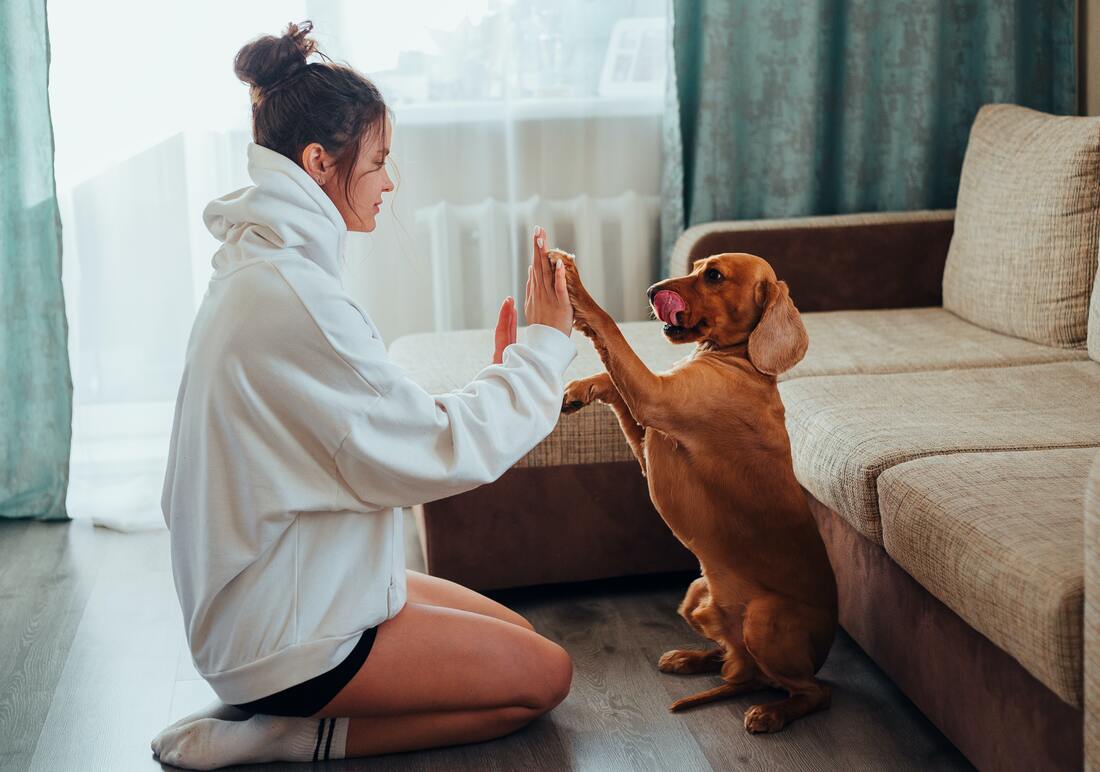 Picture of a young woman high-fiving her dog.