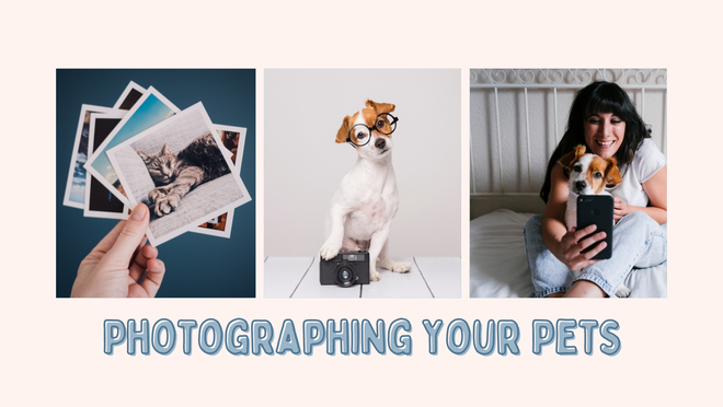 Title graphic: Photographing Your Pets with pictures of dog with camera, polaroid pics and a woman taking a selfie with her cat