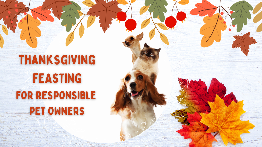 Header graphic for blog post: Thanksgiving Food Guide for Pet Owners