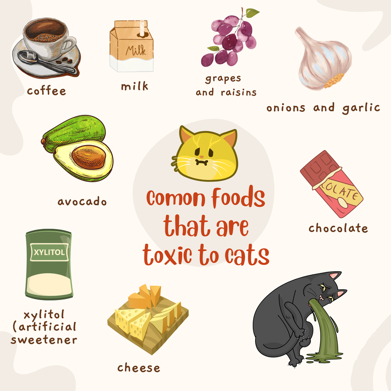 Cartoon infographic about toxic foods for cats