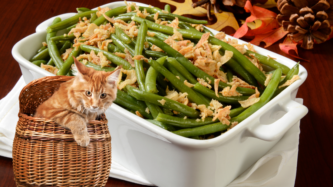 orange cat crawling out of basket cut out with green bean casserole in background