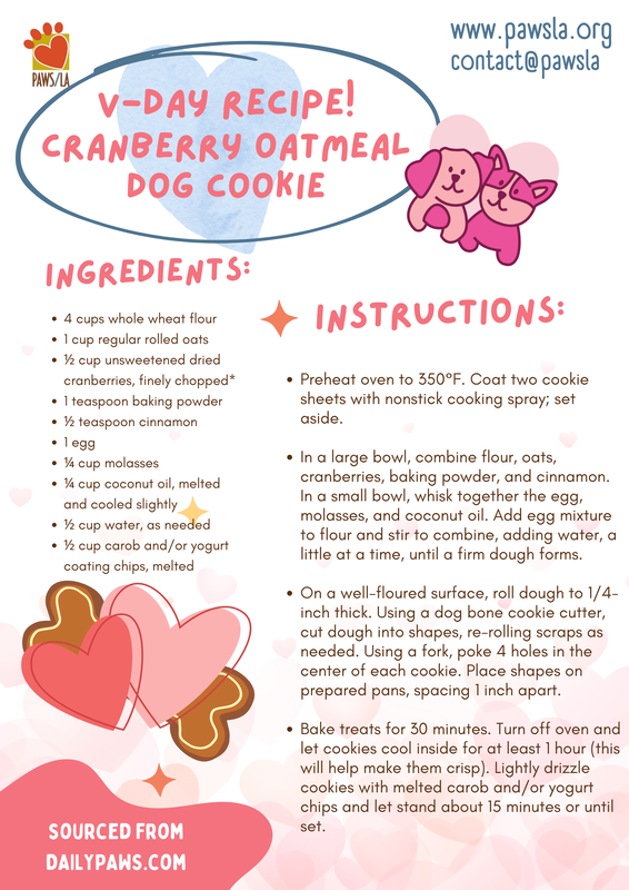 Infographic: Valentine's Day Recipe for Dog biscuits