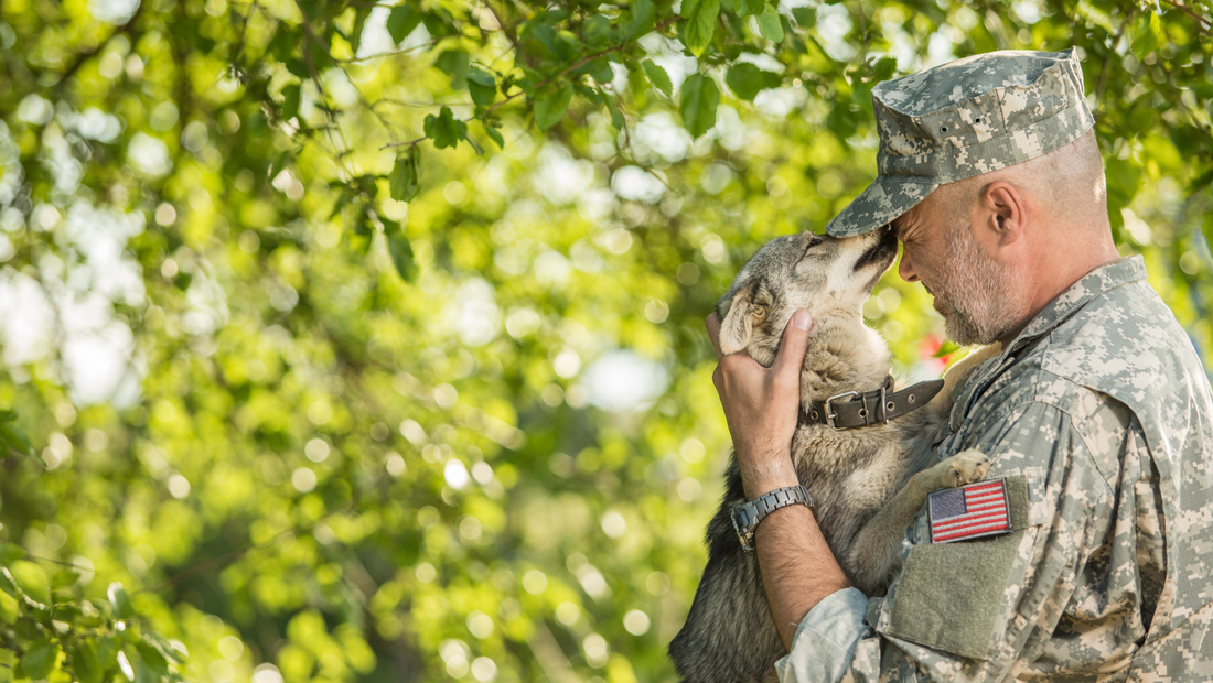 Male soldier holding a gray dog