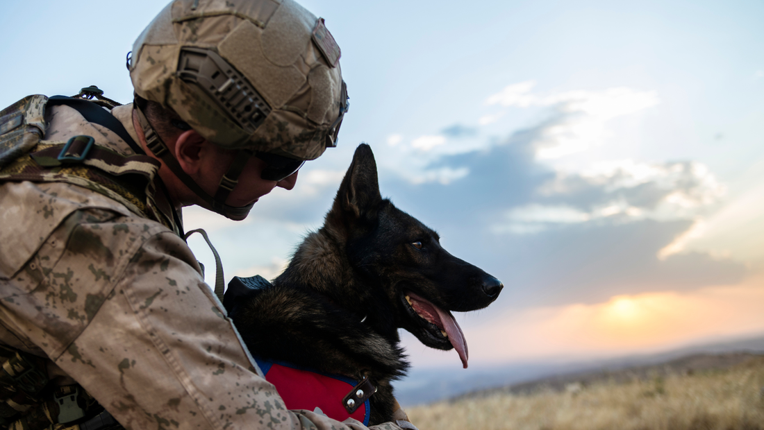 Male soldier in desert armor with a dog outside