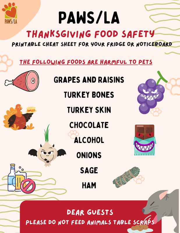 Colorful infographic listing foods dangerous for pets